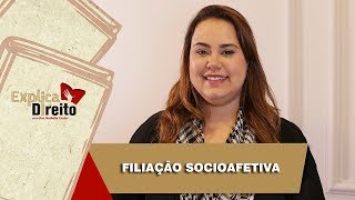 Explica Direito Filiação Socioafetiva  2019 [upl. by Winfrid]