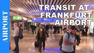 TRANSIT WALK AT FRANKFURT Airport FRA Terminal 1  Connection Flight Transfer Arriving amp Departing [upl. by Ecirtaed]